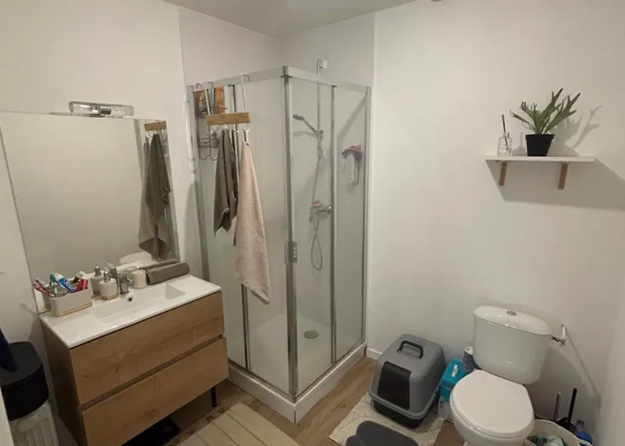 Lumineux 45m2 Apartamento Annemasse