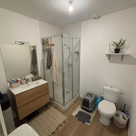 Lumineux 45m2 Apartment Annemasse